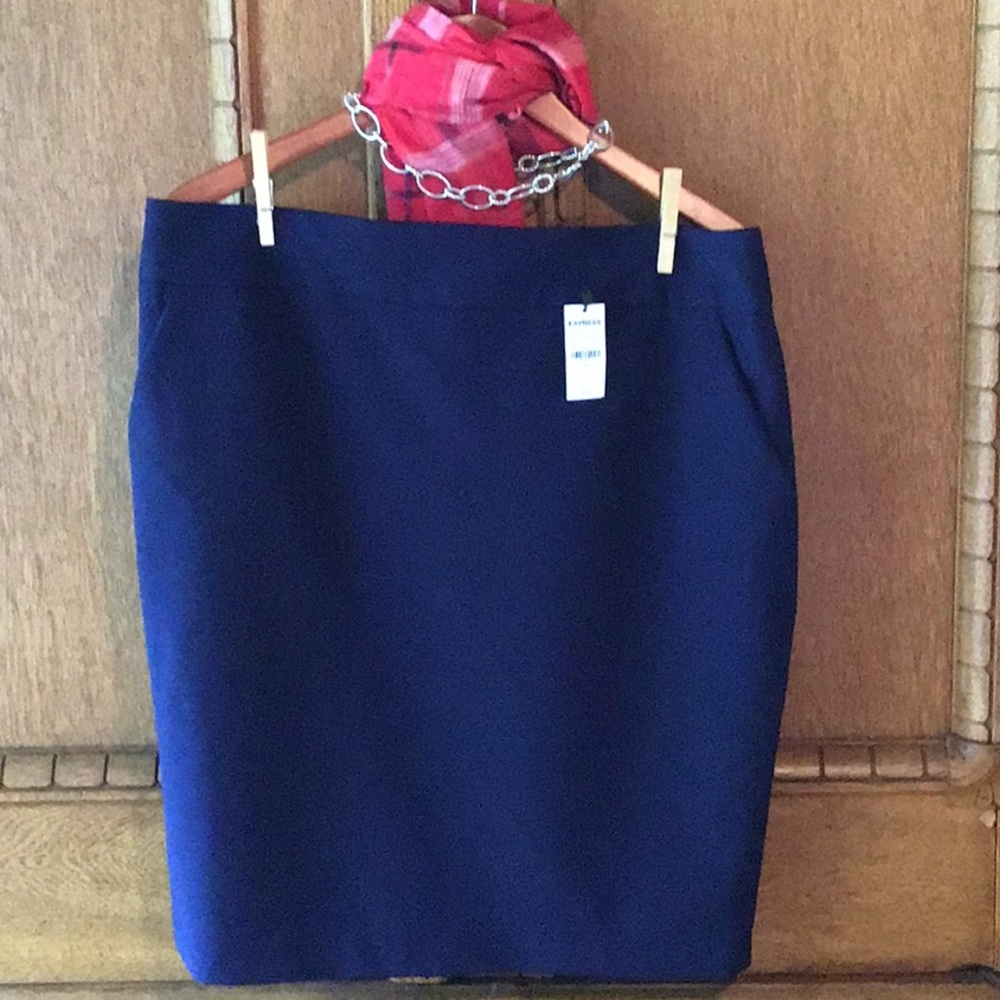 Express Navy Pencil Skirt Size 14
